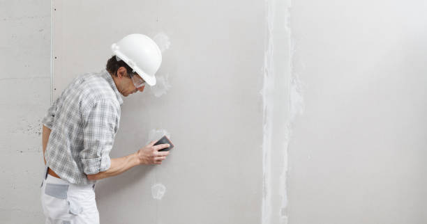  Duquesne, MO Drywall & Painting Services Pros